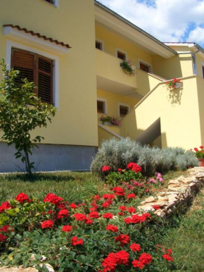 Гостиница Apartments Sara  Пула